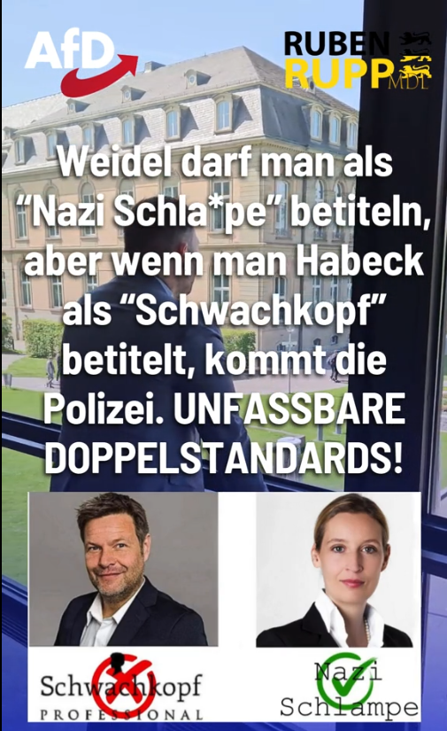 Schwachkopf vs. NAZI Schlampe