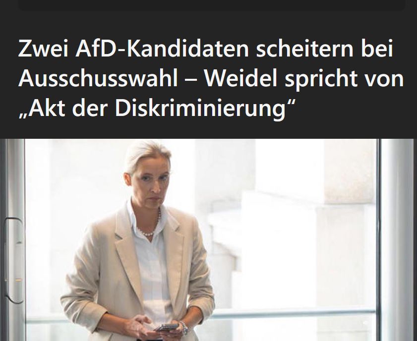 AfD Kandidaten scheitern bei Abschlusswahl