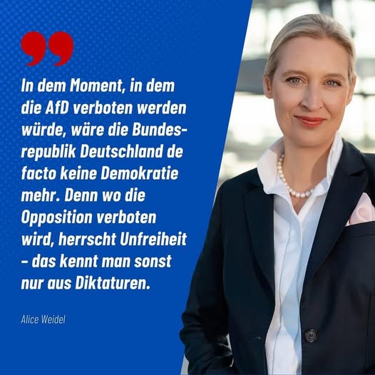 AfD Verbot vom Verfassungschutz